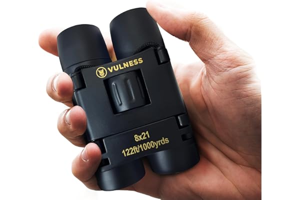 Binoculars for Adults | Compact Small Mini Travel Binocular for Bird Watching High Powered Electronics Cruise Ship Essentials